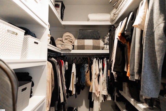 140 Holmes Dr, Spartanburg, SC 29303 - view of walk in closet