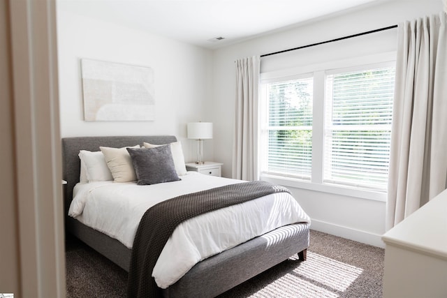 140 Holmes Dr, Spartanburg, SC 29303 - view of carpeted bedroom