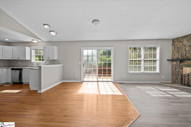 263 Cornelson Dr, Greer, SC 29651 - unfurnished living room with light wood finished floors, a textured ceiling, and a fireplace