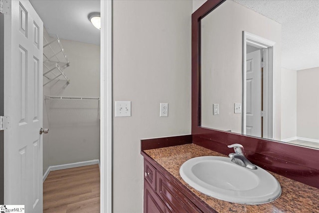 263 Cornelson Dr, Greer, SC 29651 - bathroom featuring vanity, wood finished floors, and a walk in closet