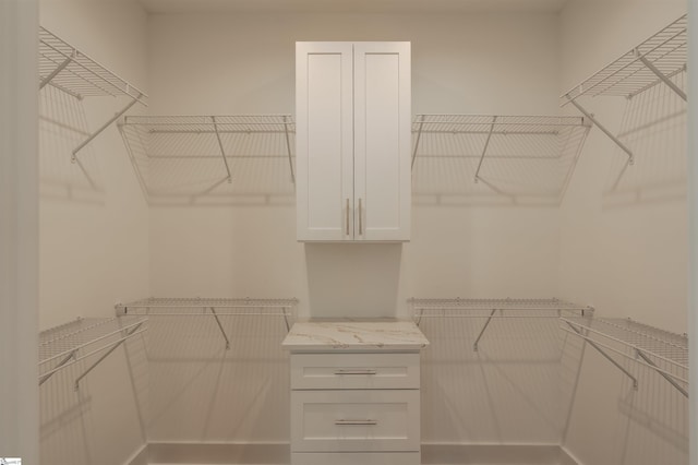 18003 Clermont Cir, Seneca, SC 29678 - view of walk in closet