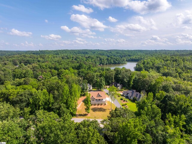 18003 Clermont Cir, Seneca, SC 29678 - bird's eye view of a heavily wooded area and a large body of water