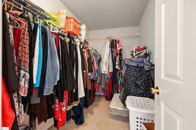 108 Myrtle Way, Greer, SC 29650 - spacious closet featuring carpet flooring