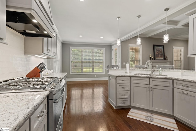 203 Piper Glen Ln, Inman, SC 29349 - kitchen with gas stove, wall chimney range hood, crown molding, dark wood-type flooring, and plenty of natural light