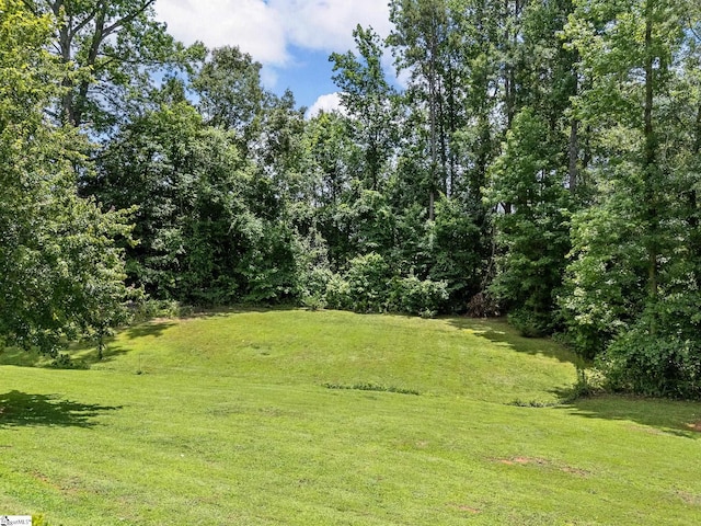 711 Hatwood Ct, Duncan, SC 29334 - view of grassy yard
