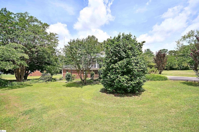 204 Jasper St, Easley, SC 29640 - view of green lawn