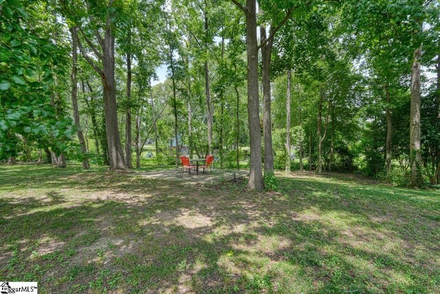 204 Lenderman Dr, Inman, SC 29349