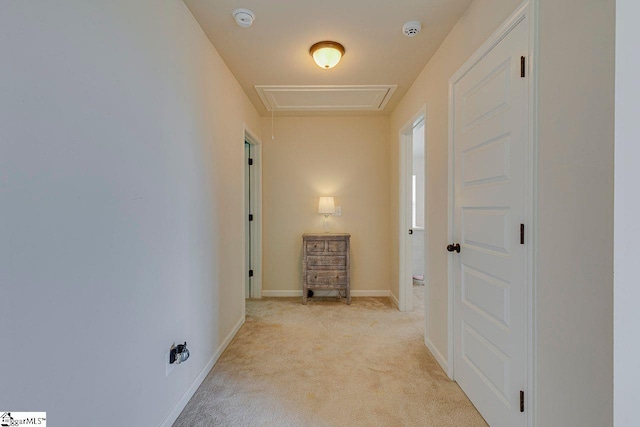 104 Saddlehorn Ln, Easley, SC 29642 - corridor featuring light carpet and baseboards