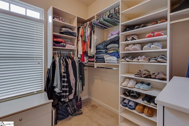 104 Saddlehorn Ln, Easley, SC 29642 - spacious closet with light carpet