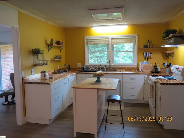 2551 Compton Bridge Rd, Inman, SC 29349 - kitchen with open shelves, wooden counters, white range, under cabinet range hood, and white cabinetry
