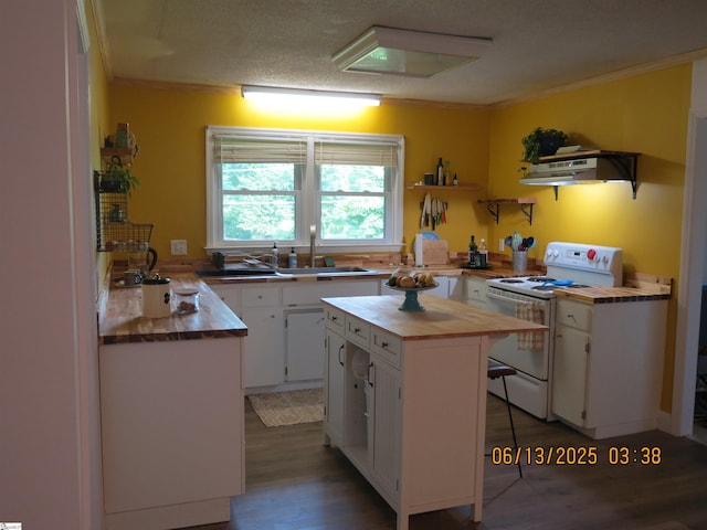 2551 Compton Bridge Rd, Inman, SC 29349 - kitchen with wooden counters, electric range, open shelves, under cabinet range hood, and white cabinetry