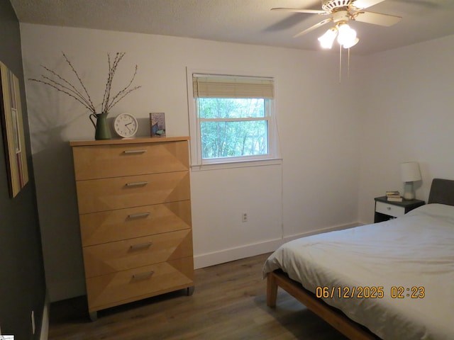 2551 Compton Bridge Rd, Inman, SC 29349 - bedroom with wood finished floors and a ceiling fan