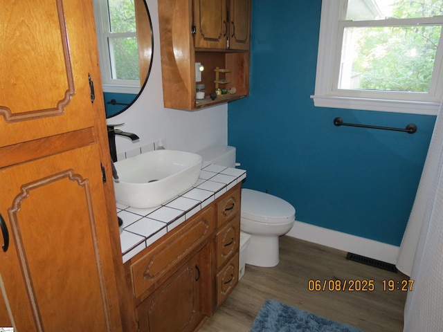 2551 Compton Bridge Rd, Inman, SC 29349 - bathroom featuring plenty of natural light, vanity, and wood finished floors