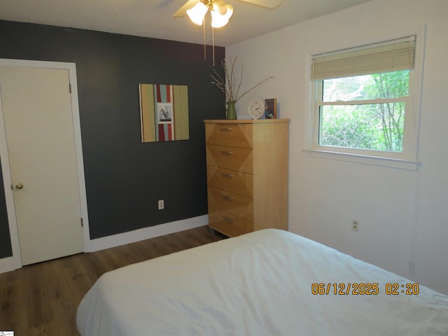 2551 Compton Bridge Rd, Inman, SC 29349 - bedroom with wood finished floors and a ceiling fan