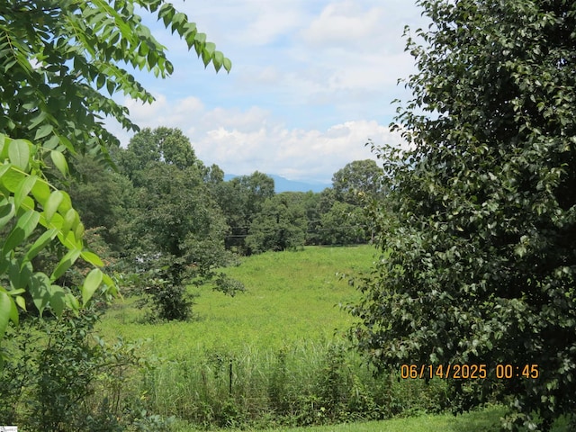 2551 Compton Bridge Rd, Inman, SC 29349 - view of woods