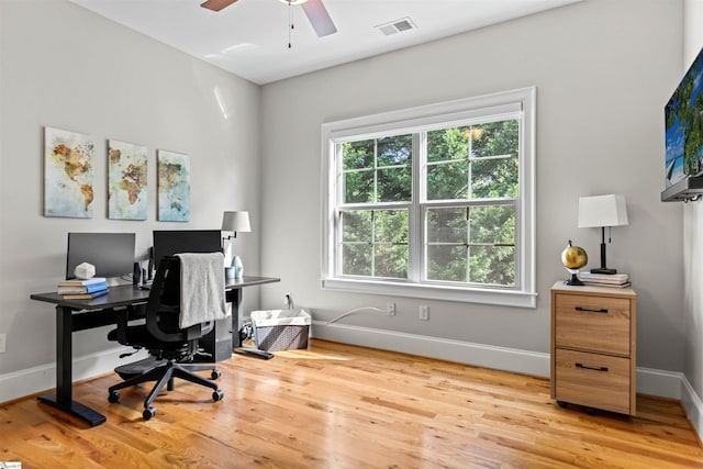 19 Merritt View Ter, Greenville, SC 29609 - office with ceiling fan and light wood-style flooring