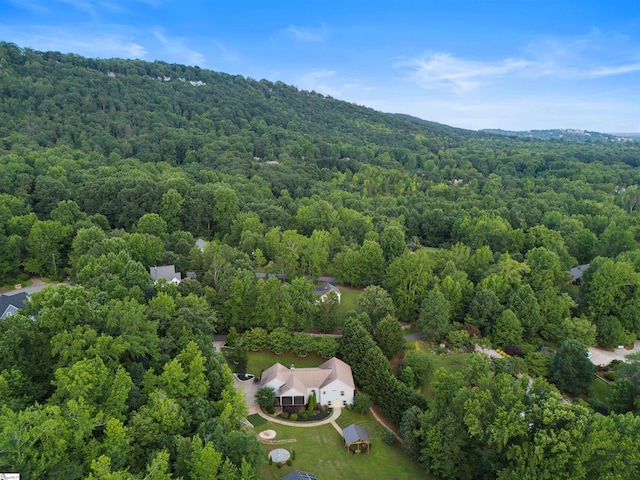 19 Merritt View Ter, Greenville, SC 29609 - bird's eye view of a forest