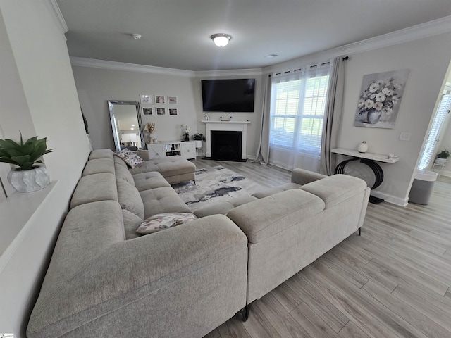 406 Willow Grove Way, Anderson, SC 29631 - living area featuring a fireplace with flush hearth, wood finished floors, and ornamental molding
