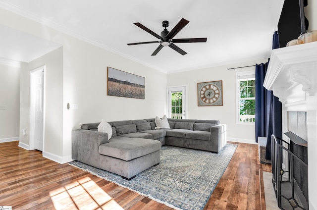 304 Camperdown Ct, Easley, SC 29642 - living area featuring wood finished floors, ceiling fan, and crown molding
