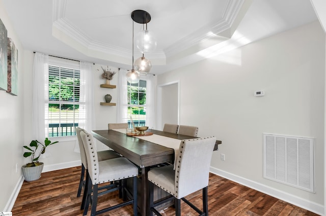 304 Camperdown Ct, Easley, SC 29642 - dining space with a tray ceiling, crown molding, and dark wood finished floors