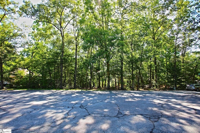 315 Fernwood Dr, Salem, SC 29676