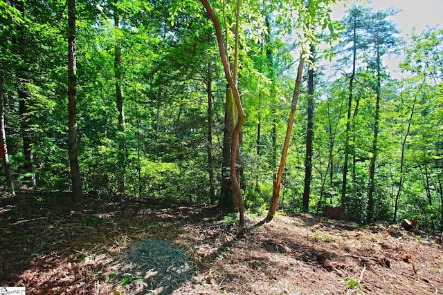 315 Fernwood Dr, Salem, SC 29676