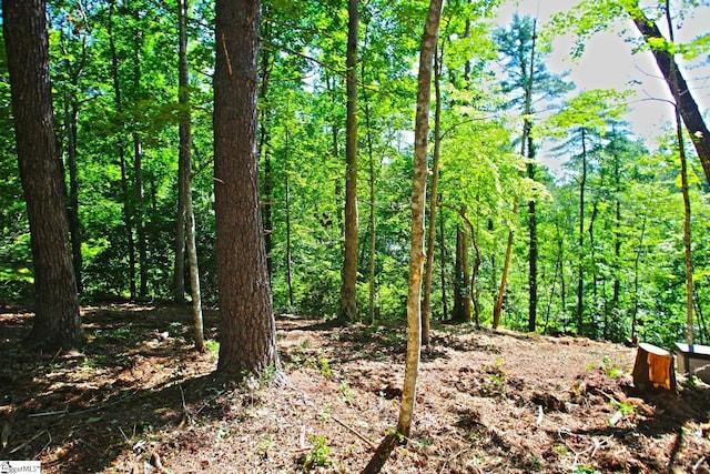 315 Fernwood Dr, Salem, SC 29676