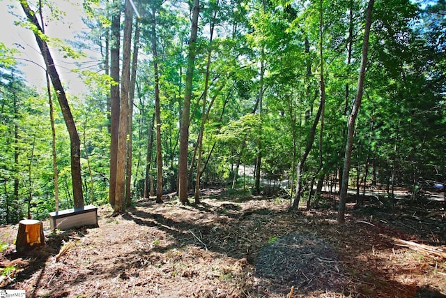 315 Fernwood Dr, Salem, SC 29676