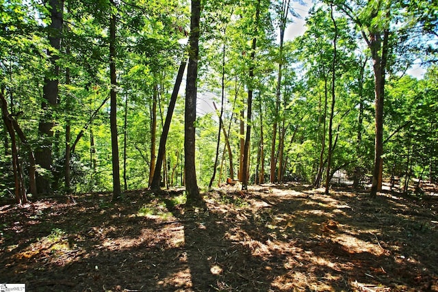 315 Fernwood Dr, Salem, SC 29676