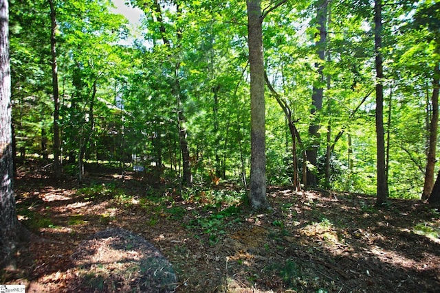 315 Fernwood Dr, Salem, SC 29676