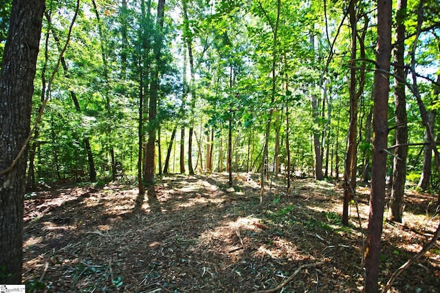 315 Fernwood Dr, Salem, SC 29676