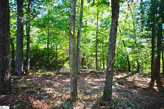 315 Fernwood Dr, Salem, SC 29676