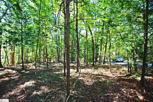 315 Fernwood Dr, Salem, SC 29676
