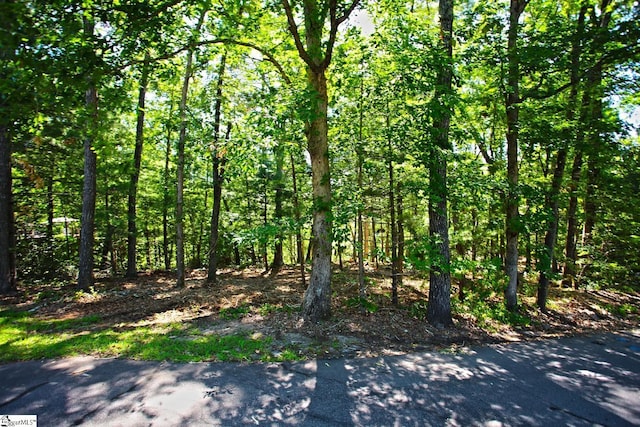 315 Fernwood Dr, Salem, SC 29676