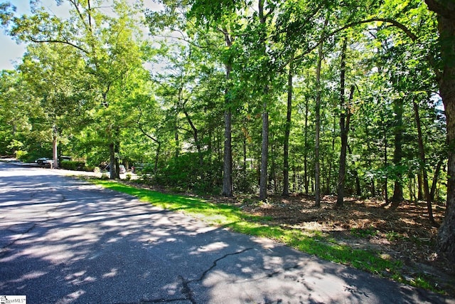 315 Fernwood Dr, Salem, SC 29676