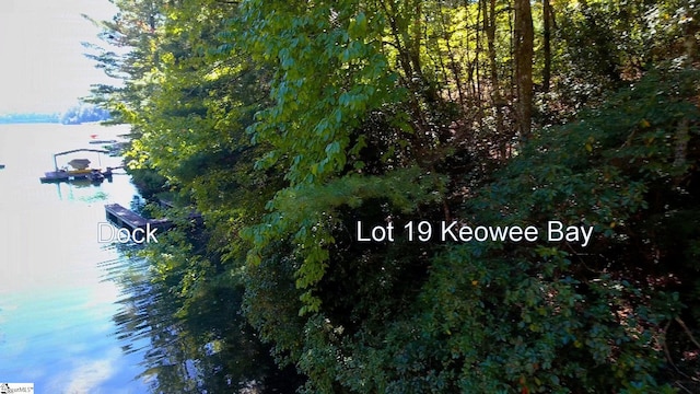 315 Fernwood Dr, Salem, SC 29676