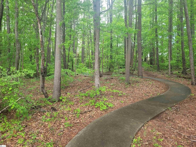 632 Lookover Dr, Anderson, SC 29621 - view of home's community featuring a forest view
