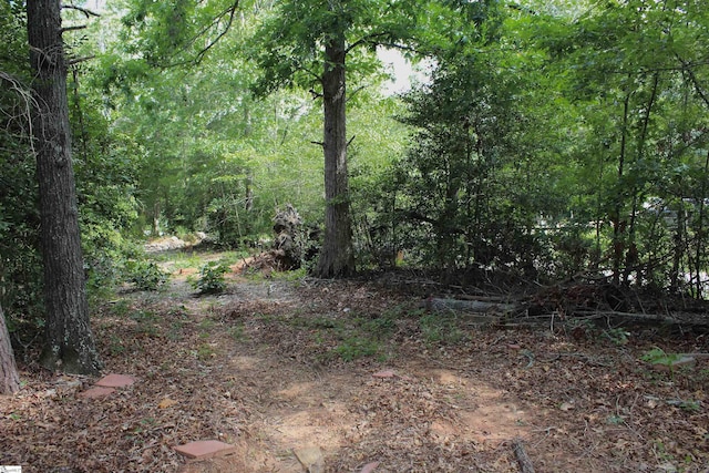 147 Reagan Ln, Woodruff, SC 29388