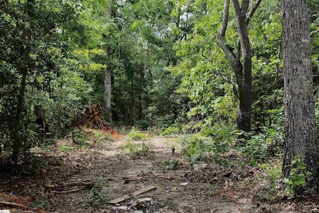 147 Reagan Ln, Woodruff, SC 29388