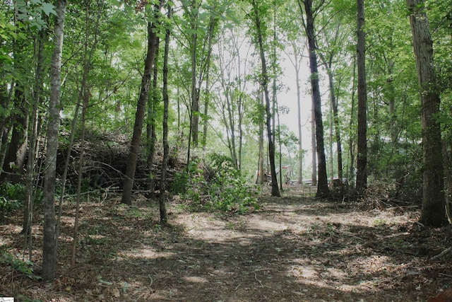 147 Reagan Ln, Woodruff, SC 29388