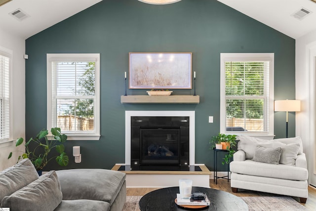 349 Encampment Blvd, Simpsonville, SC 29681 - living area with wood finished floors, a glass covered fireplace, plenty of natural light, and high vaulted ceiling