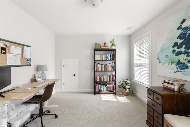 349 Encampment Blvd, Simpsonville, SC 29681 - home office with plenty of natural light and carpet flooring