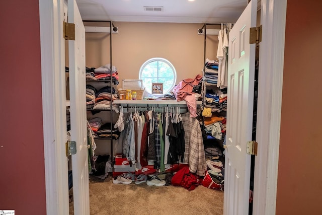 126 Midland Dr, Easley, SC 29640 - walk in closet featuring carpet floors