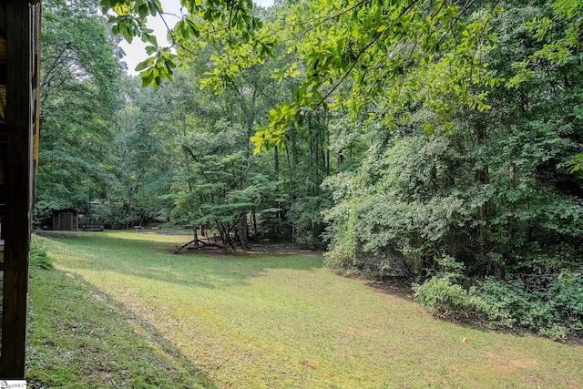 126 Midland Dr, Easley, SC 29640 - view of green lawn with a wooded view and a shed
