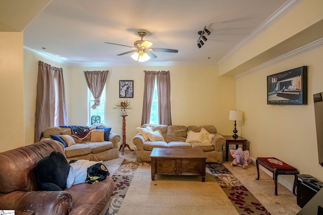 126 Midland Dr, Easley, SC 29640 - living room featuring crown molding, ceiling fan, and rail lighting