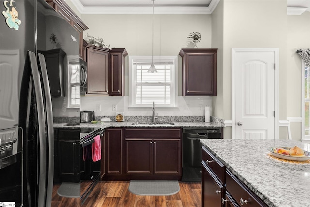 906 John Thomas Way, Greer, SC 29651 - kitchen featuring black fridge, dishwasher, dark wood-style floors, crown molding, and dark brown cabinetry