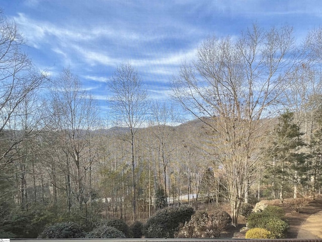 24 Lake Hills Ln, Travelers Rest, SC 29690 - view of mountain background featuring a heavily wooded area