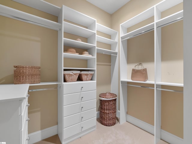 24 Lake Hills Ln, Travelers Rest, SC 29690 - walk in closet with light carpet