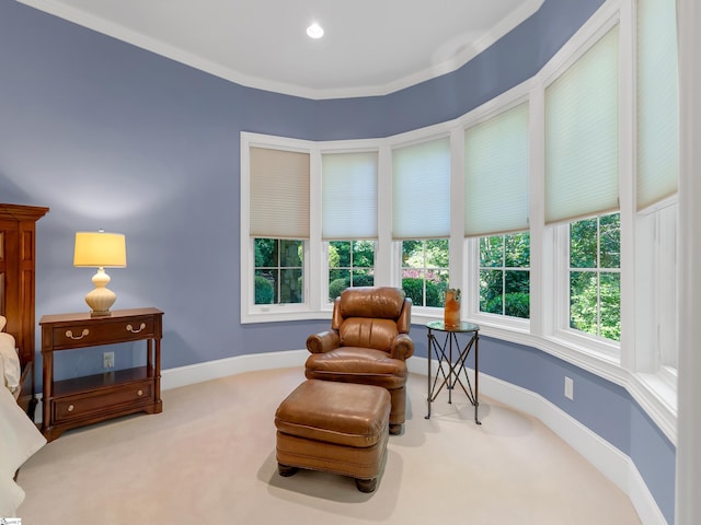 24 Lake Hills Ln, Travelers Rest, SC 29690 - sitting room featuring carpet flooring and baseboards