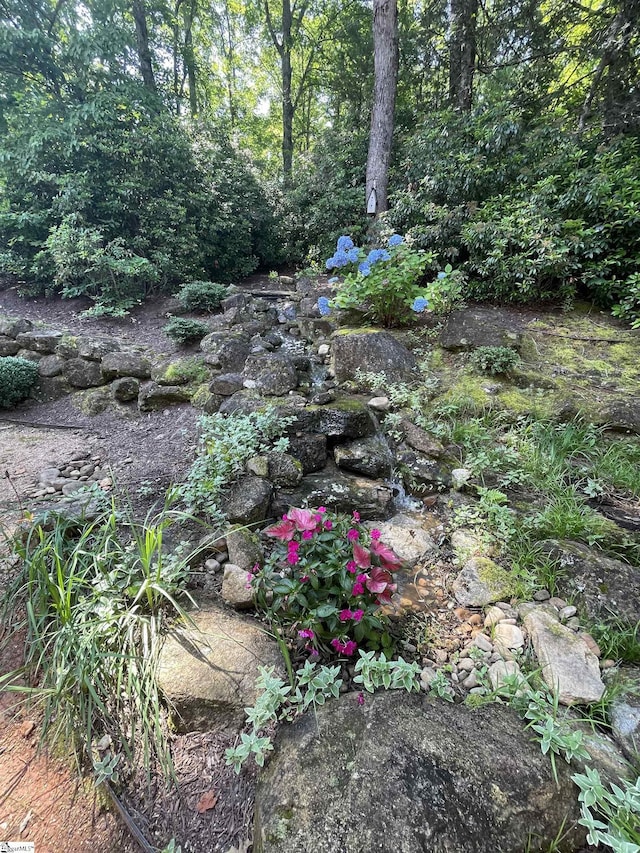 24 Lake Hills Ln, Travelers Rest, SC 29690 - view of yard